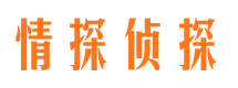 城北市婚外情取证